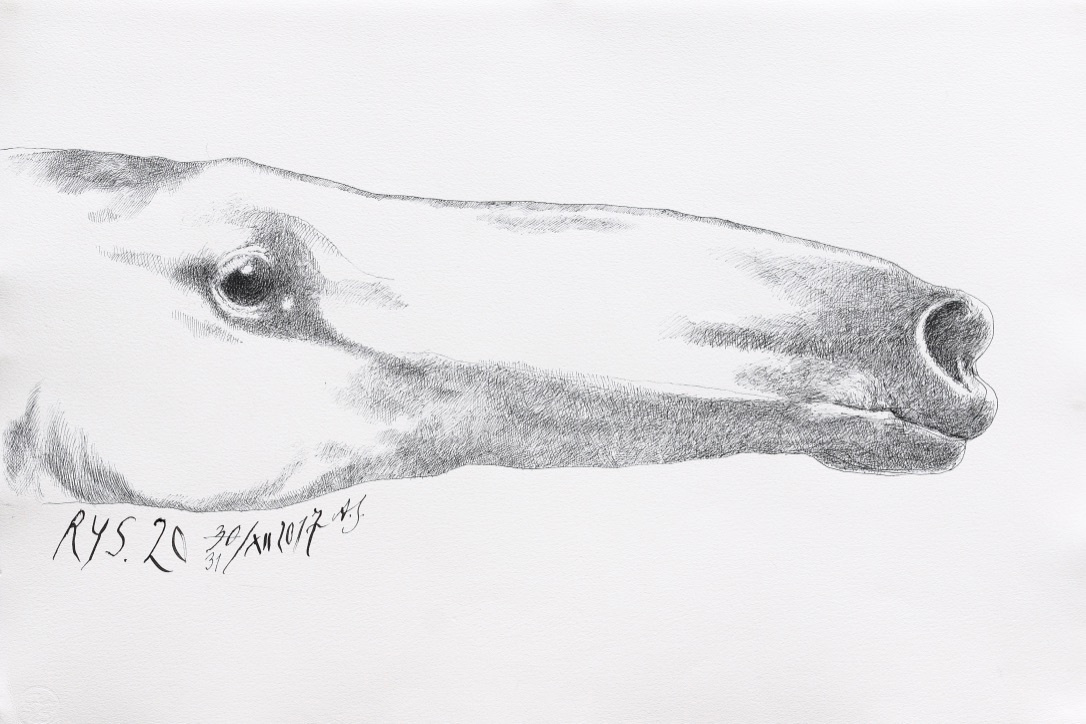 Końskie głowy - cykl 2016 - 2018. Andrzej Strumiłło - Wybitny polski artysta