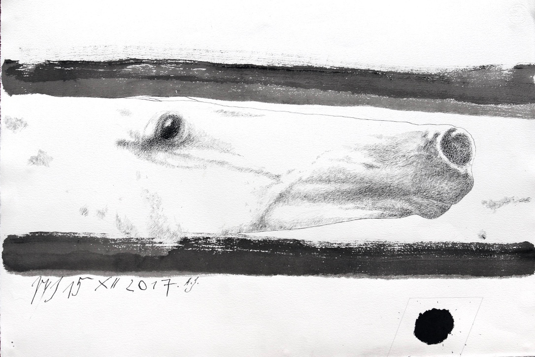 Końskie głowy - cykl 2016 - 2018. Andrzej Strumiłło - Wybitny polski artysta