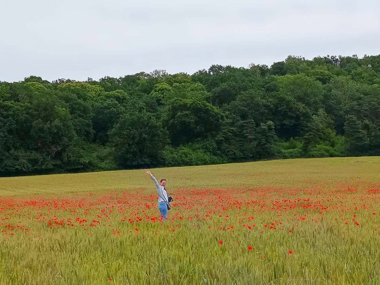 Photographer standing among red poppies in a field near Milly-la-Forêt, France, during a countryside photo excursion.