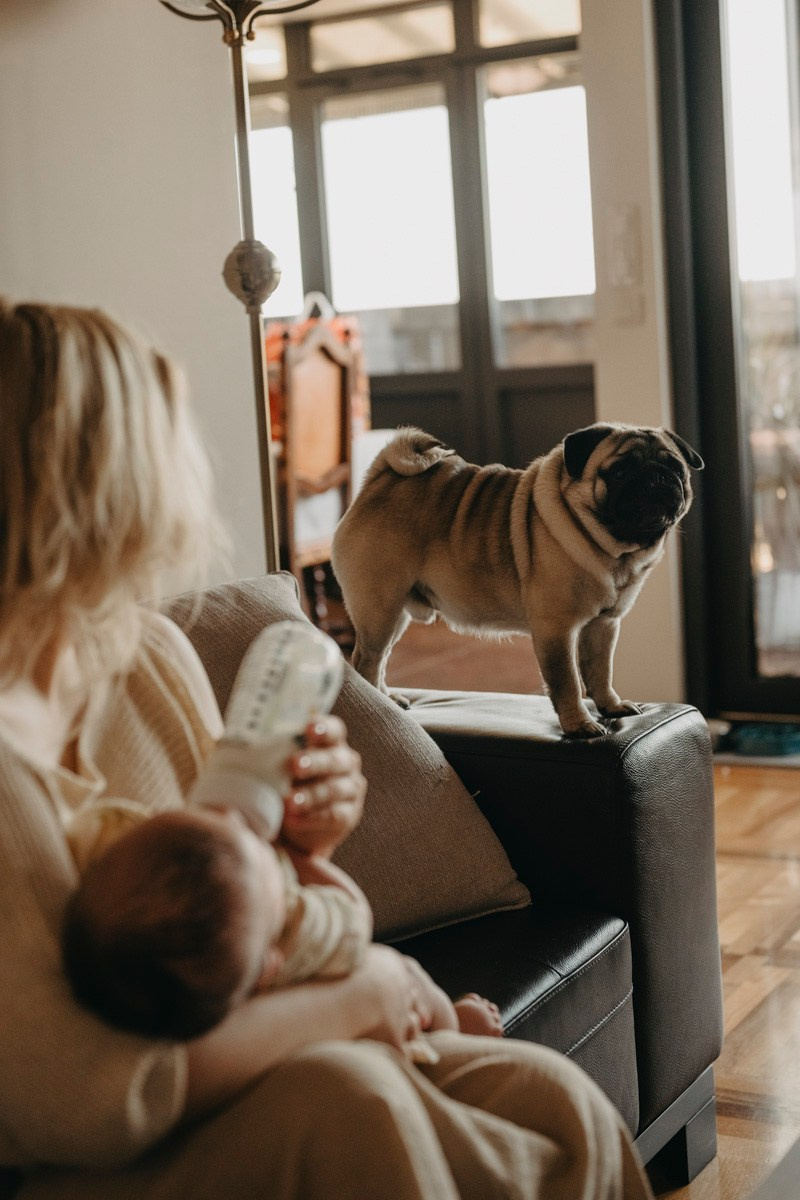 Jelena, Uros i Vasilije / porodicno fotografisanje kod kuce. Deciji i porodicni fotograf u Beogradu Oksana Skendzic
