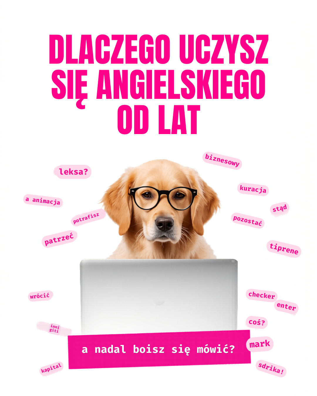 Language School. Digital Creator | AI Visuals | Content for Social Media
