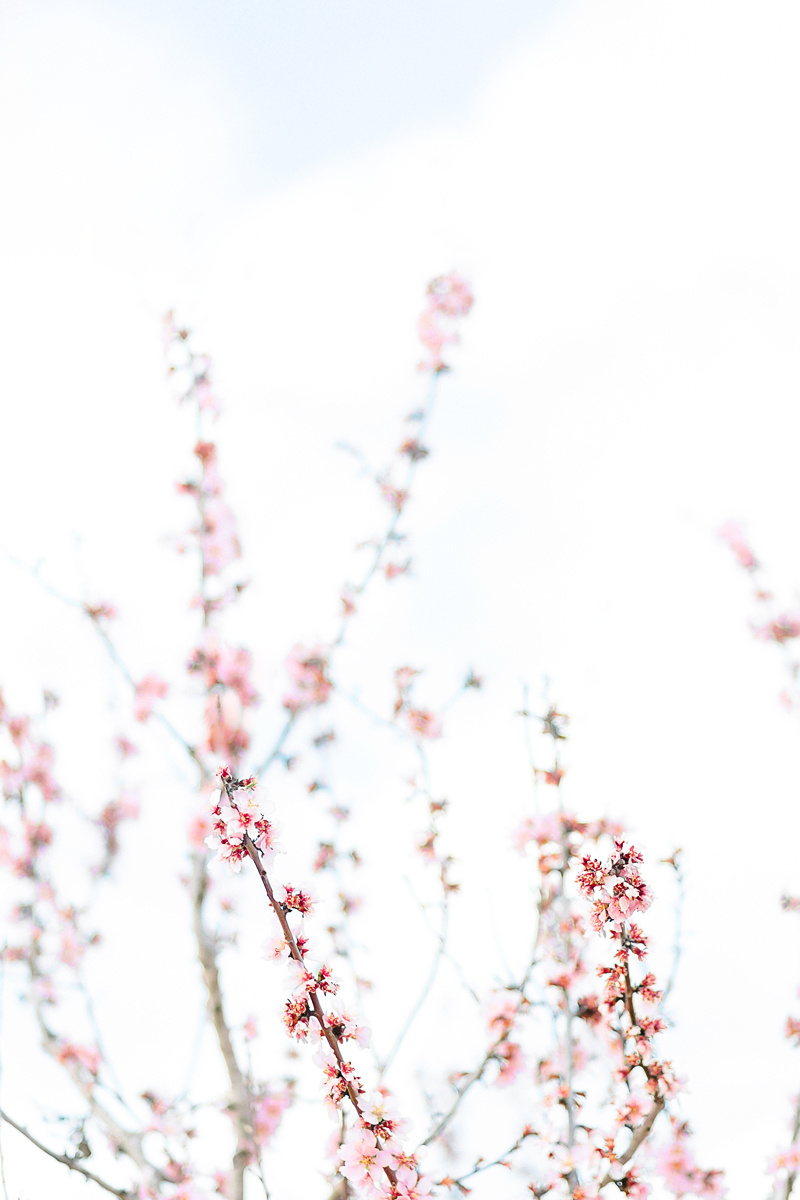 Фотосессия в цветущем миндале. Фотограф и визажист Анастасия Гусарова