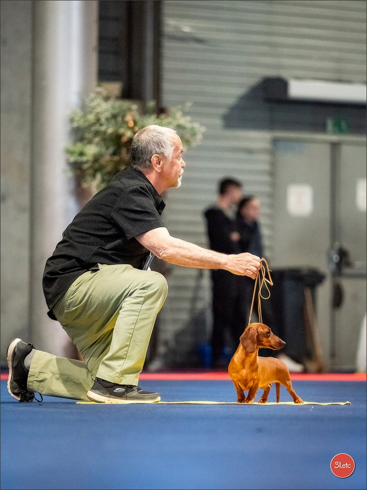 Expo canine   🇫🇷   Mulhouse 5-6/04/2025. Photographe à Strasbourg | Portraits, Studio, Enfants, Événements