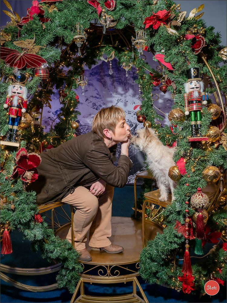 13-14.12.2025   🇧🇪   Brussels Dog Show. Photographe à Strasbourg | Portraits, Studio, Enfants, Événements