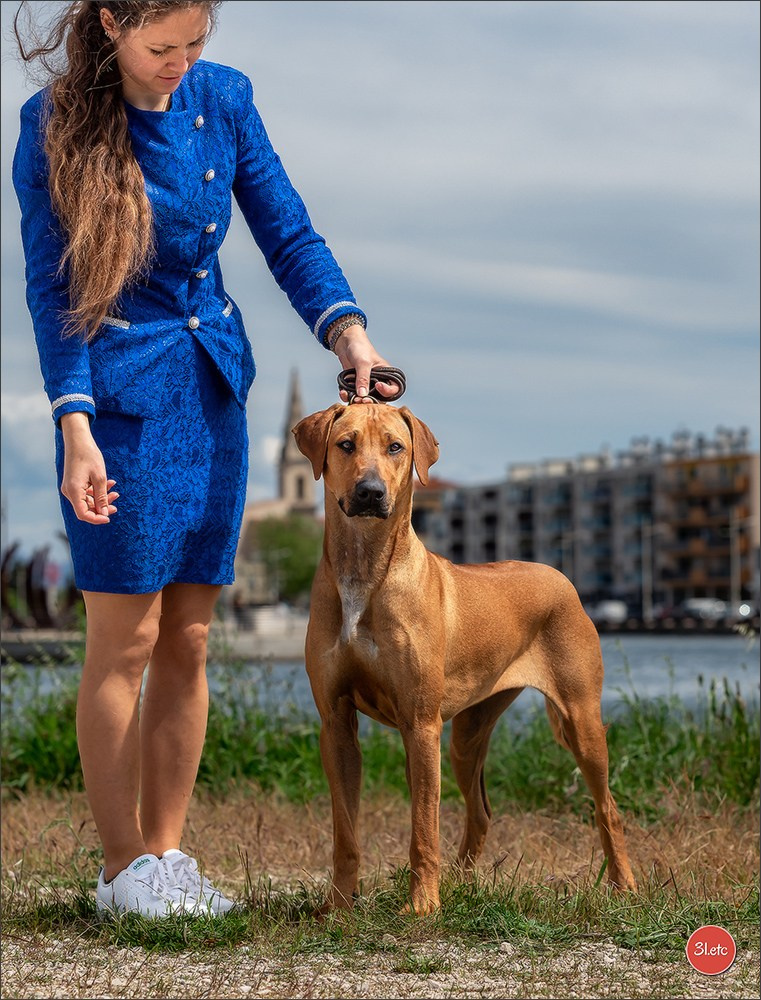 Expo canine 🇫🇷 Martigues  19-20/04/2025. Photographe à Strasbourg | Portraits, Studio, Enfants, Événements