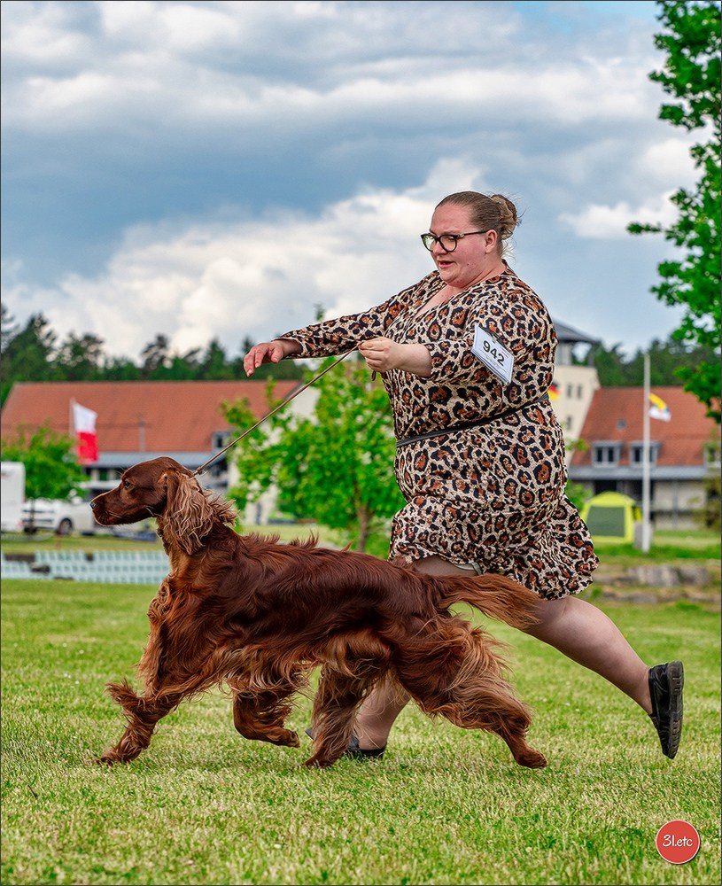 Dog Show Rieden 🇩🇪 16-18/05/2025. Photographe à Strasbourg | Portraits, Studio, Enfants, Événements