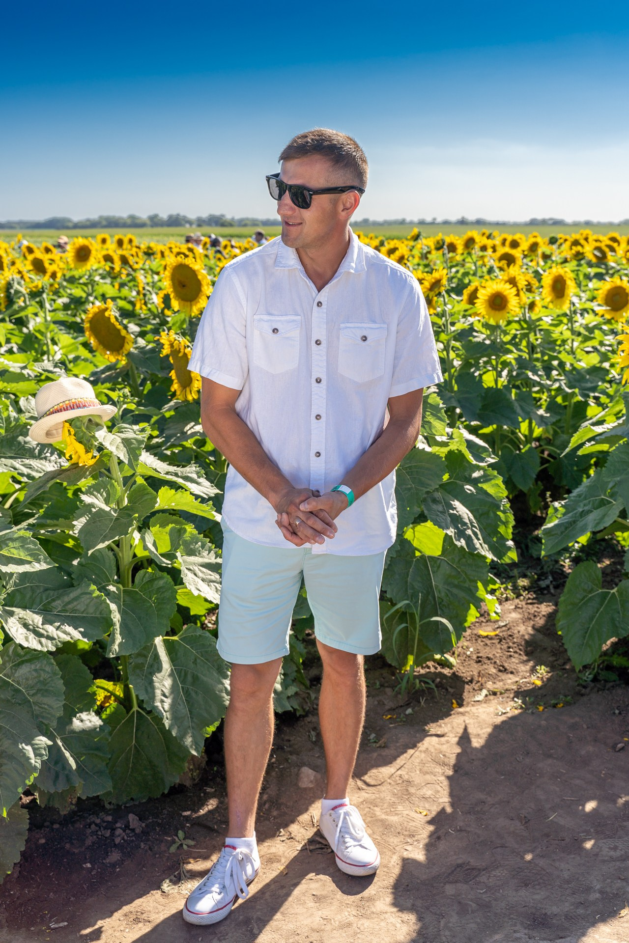 Sunflowers. ARTIGO Igor Rudyi Art Photography