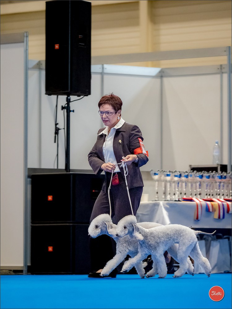 🇨🇭 Geneva 03-05.10.2025 🇨🇭. Photographe à Strasbourg | Portraits, Studio, Enfants, Événements