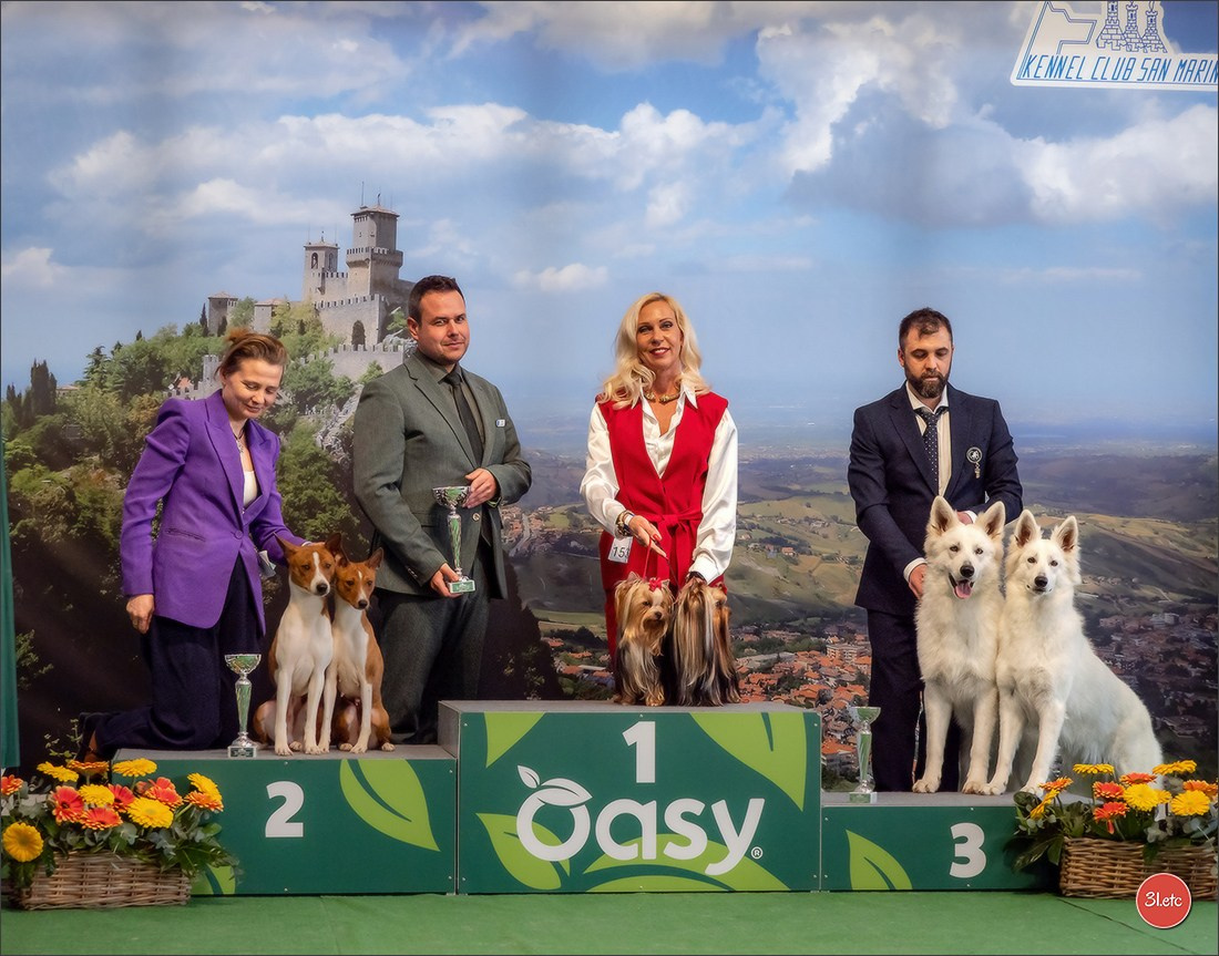 Dog Show  🇮🇹  San Marino. Photographe à Strasbourg | Portraits, Studio, Enfants, Événements