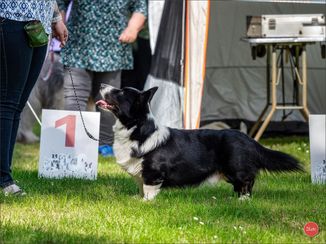 Украсть фото разве сложно.... Photographe à Strasbourg | Portraits, Studio, Enfants, Événements