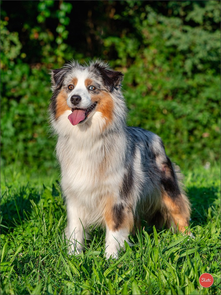 Domaine de la patte blanche. Photographe à Strasbourg | Portraits, Studio, Enfants, Événements
