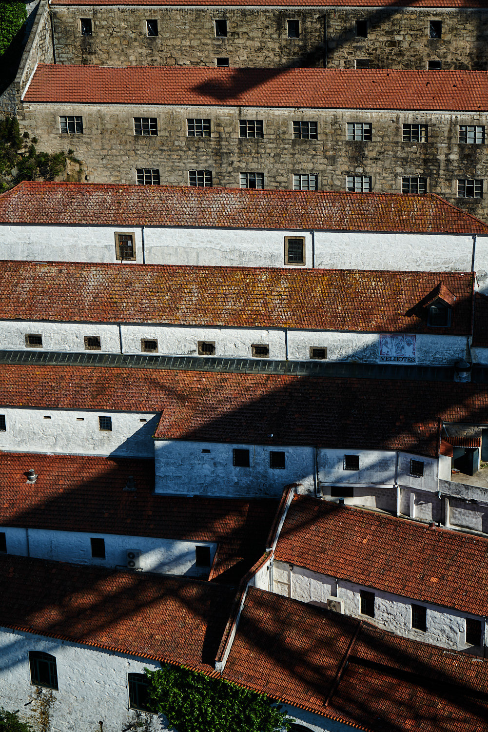 Porto | Anastasiia Nelen photographer