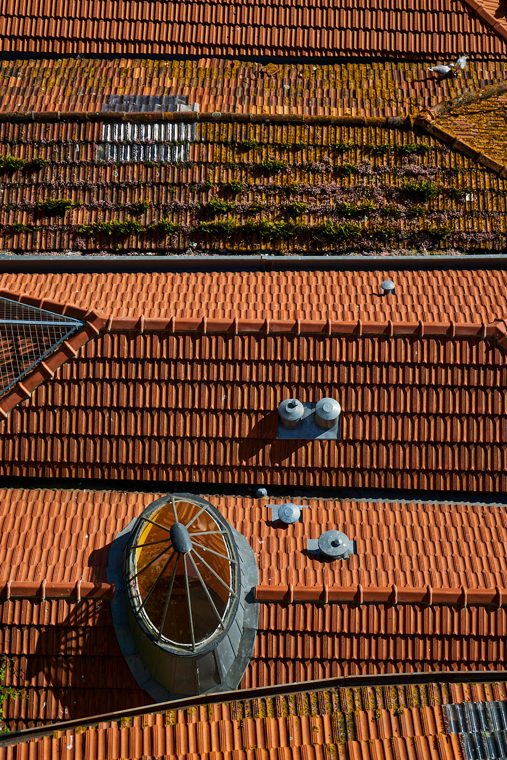 Porto | Anastasiia Nelen photographer