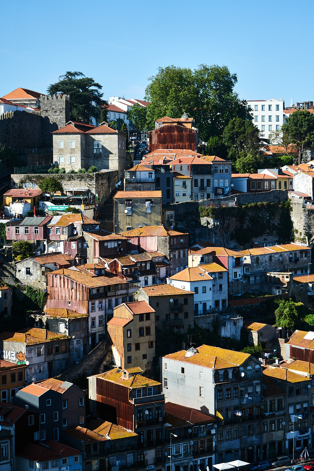 Porto | Anastasiia Nelen photographer