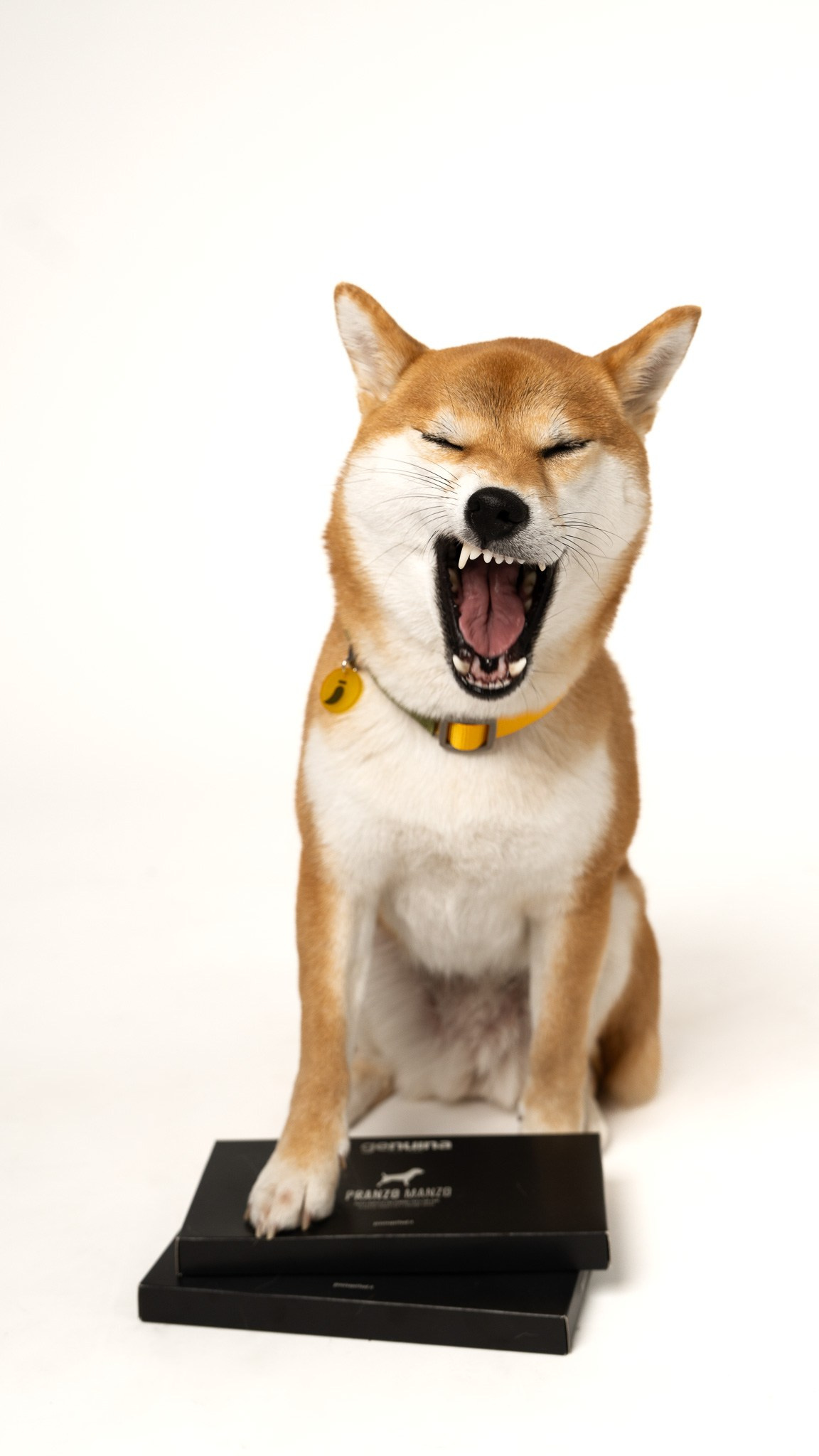 Brands. KrisCreates Photography — Professional Photography Services in Switzerland