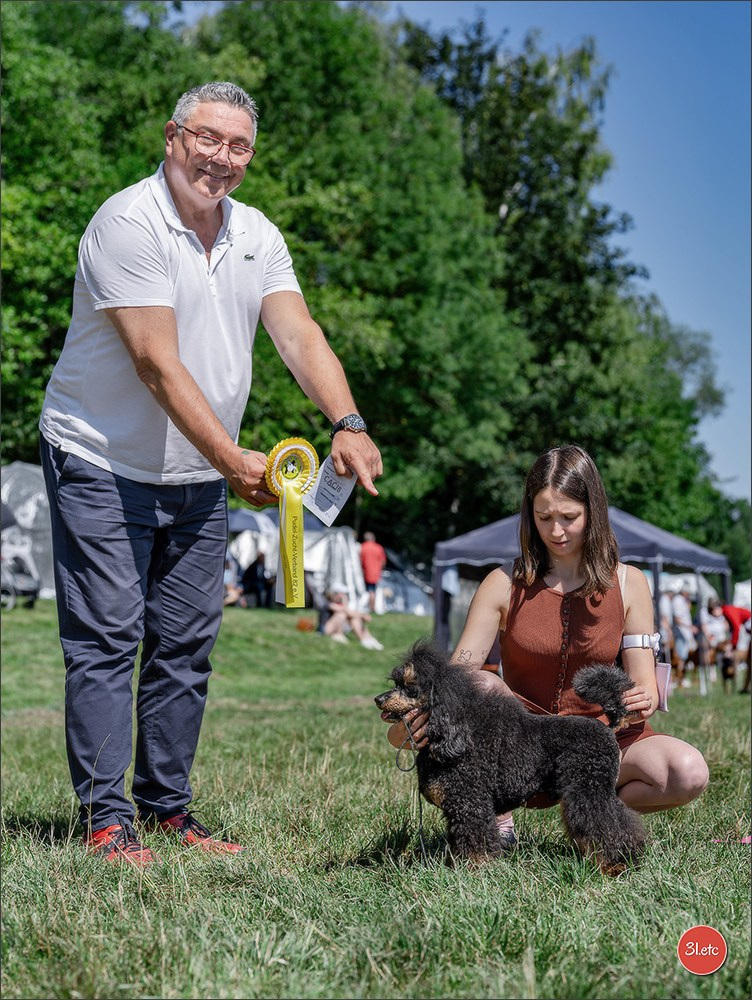 Dog Show - Hallbergmoos 🇩🇪 11-12/07/2026
