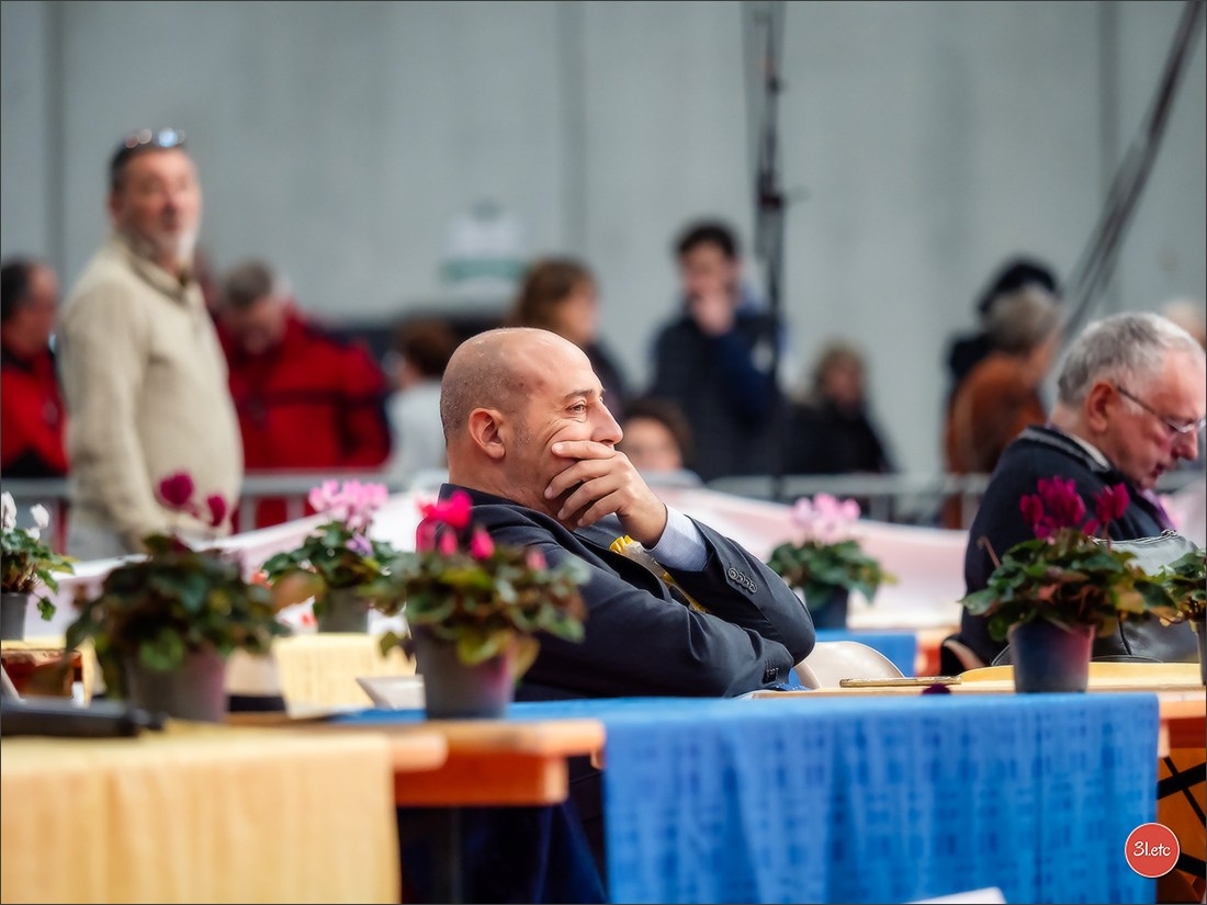 EXPOSITION CANINE NATIONALE ET INTERNATIONALE DE METZ (ACT LORRAINE) METZ (57) - 09 & 10/11/2024. Photographe à Strasbourg | Portraits, Studio, Enfants, Événements
