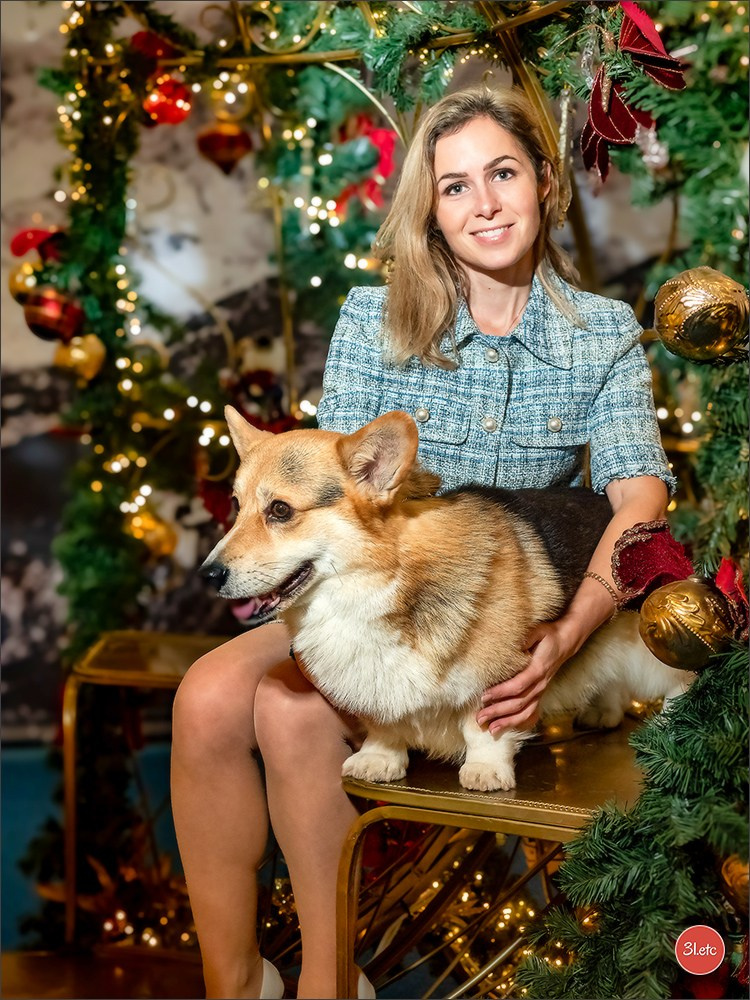 13-14.12.2025   🇧🇪   Brussels Dog Show. Photographe à Strasbourg | Portraits, Studio, Enfants, Événements