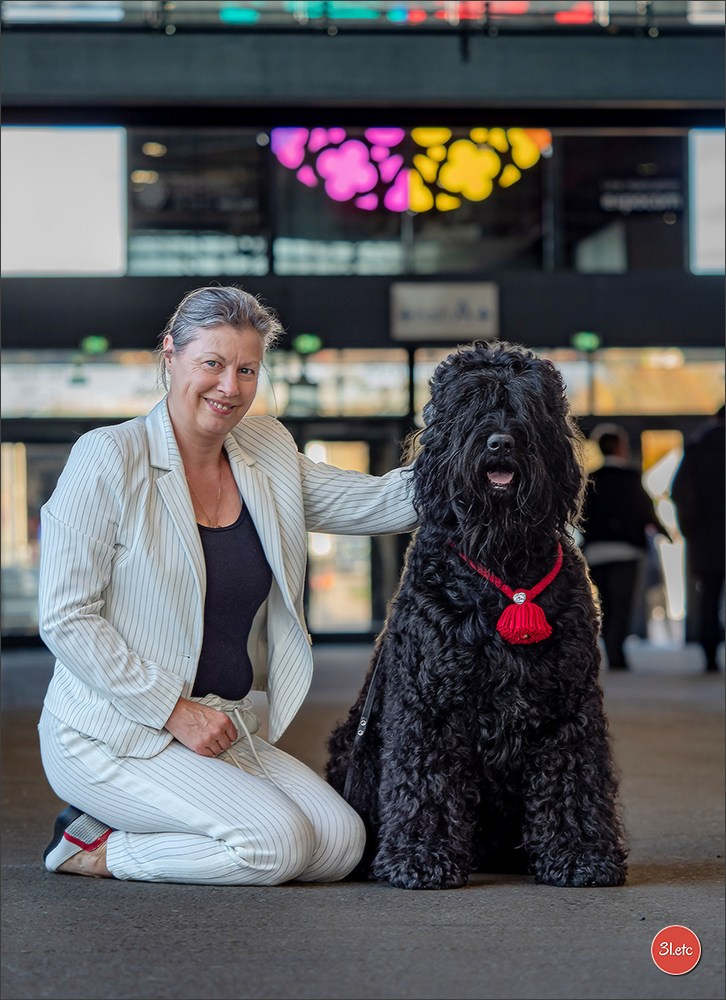 Expo canine  🇫🇷  Metz 08-09/11/2025. Photographe à Strasbourg | Portraits, Studio, Enfants, Événements