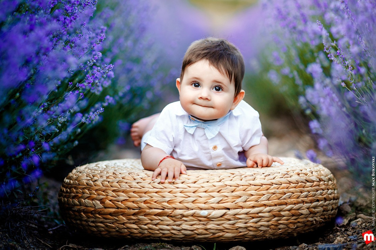 Ревюта. Начало