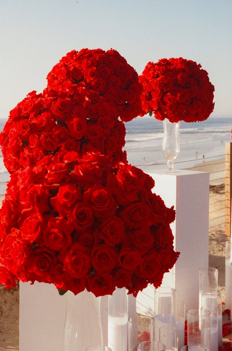 Proposals. Sura Moments | Southern California Wedding Photo & Video