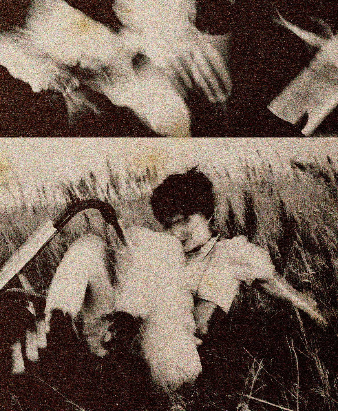 ESCAPISM. Anna Omni — concept photographer and digital artist in Riga, Latvia