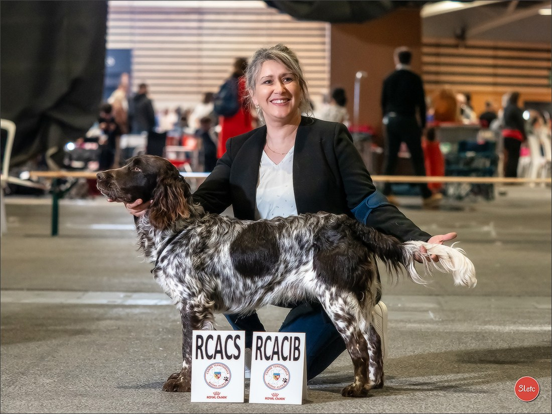 Photographie animalière. Photographe à Strasbourg | Portraits, Studio, Enfants, Événements
