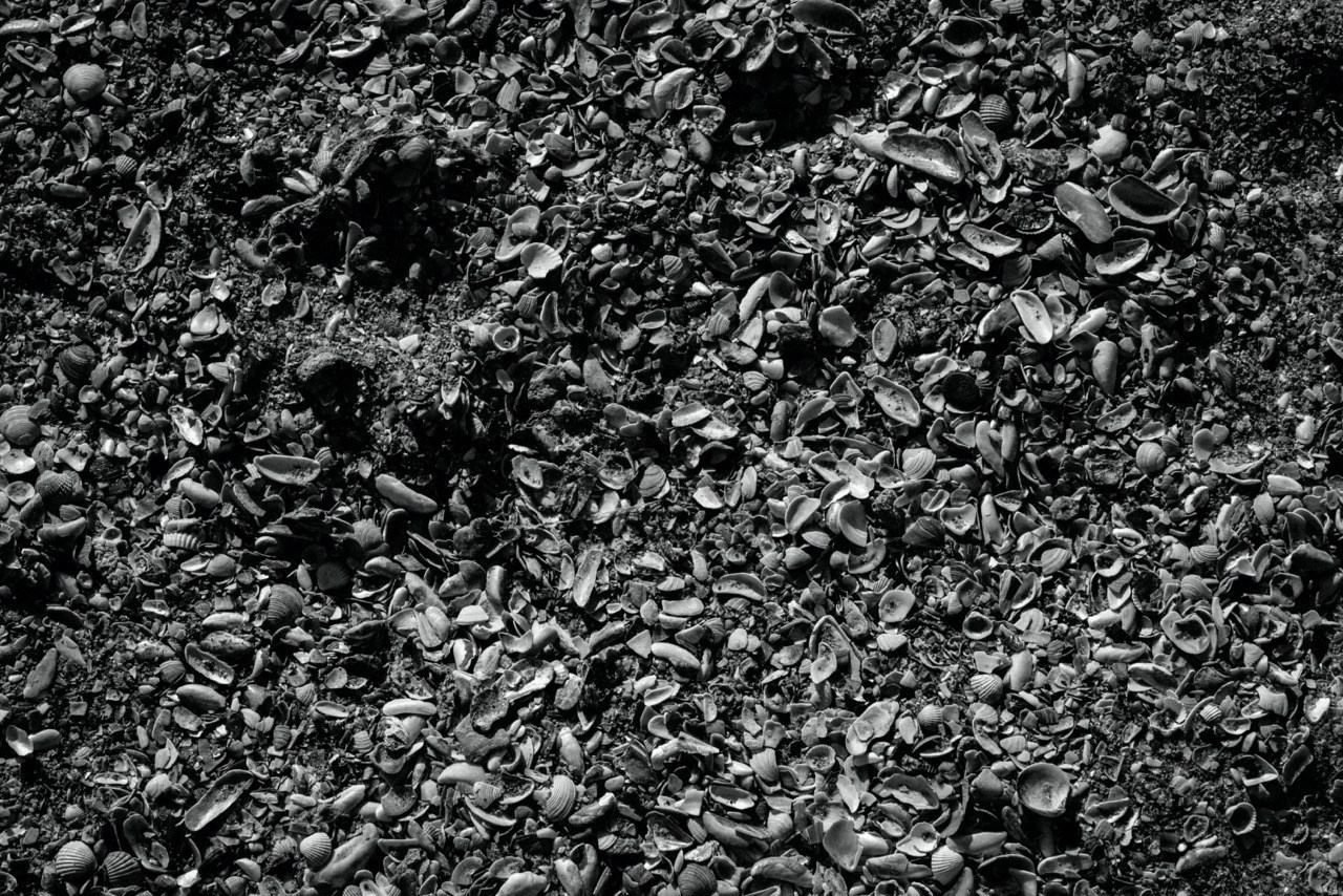 More More. Katerina Kiper Photography