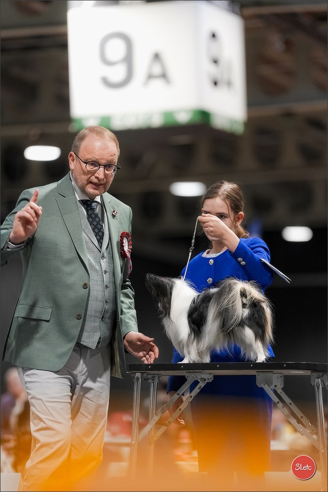 🇱🇺 LUXEMBOURG 🇱🇺 International Dog Show 4-5/04/2026. Photographe à Strasbourg | Portraits, Studio, Enfants, Événements