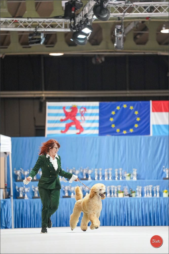 🇱🇺 LUXEMBOURG 🇱🇺 International Dog Show 4-5/04/2026. Photographe à Strasbourg | Portraits, Studio, Enfants, Événements