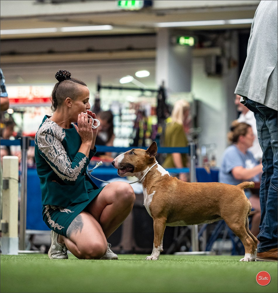 Dog Show Ludwigshafen  🇩🇪  16-17/08/2025. Photographe à Strasbourg | Portraits, Studio, Enfants, Événements