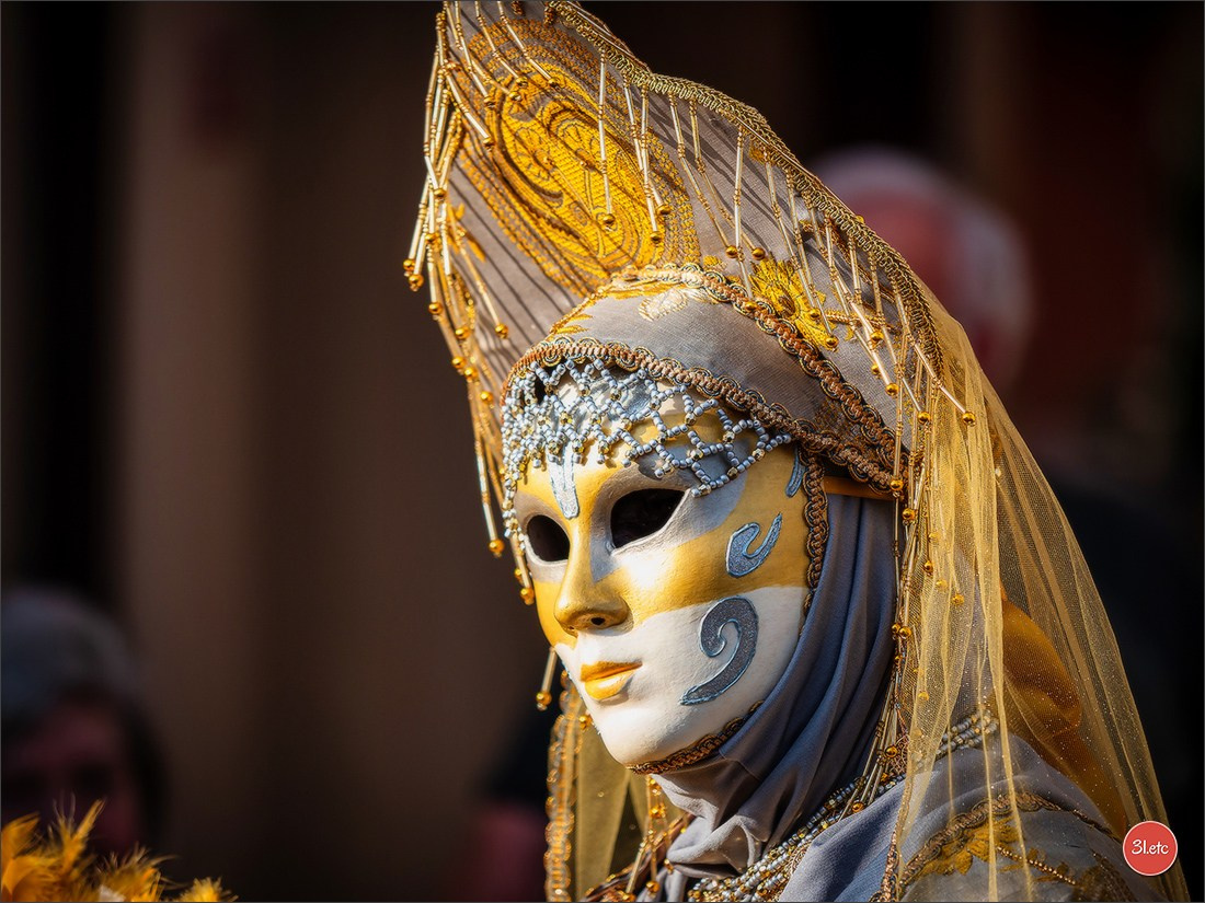 Carnaval vénitien de Rosheim 2026. Photographe à Strasbourg | Portraits, Studio, Enfants, Événements