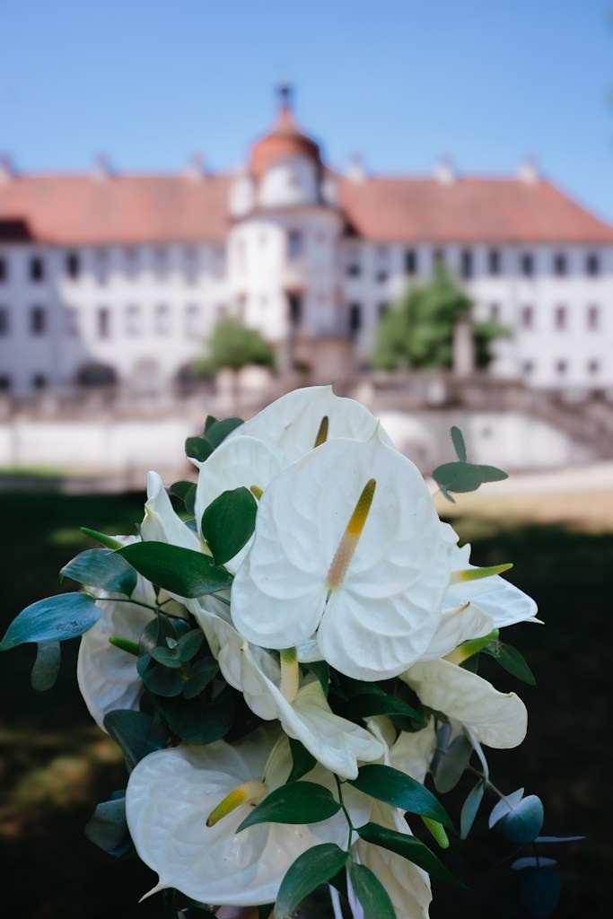 Hochzeitsfotos. Hochzeitsfotografin in Regensburg
