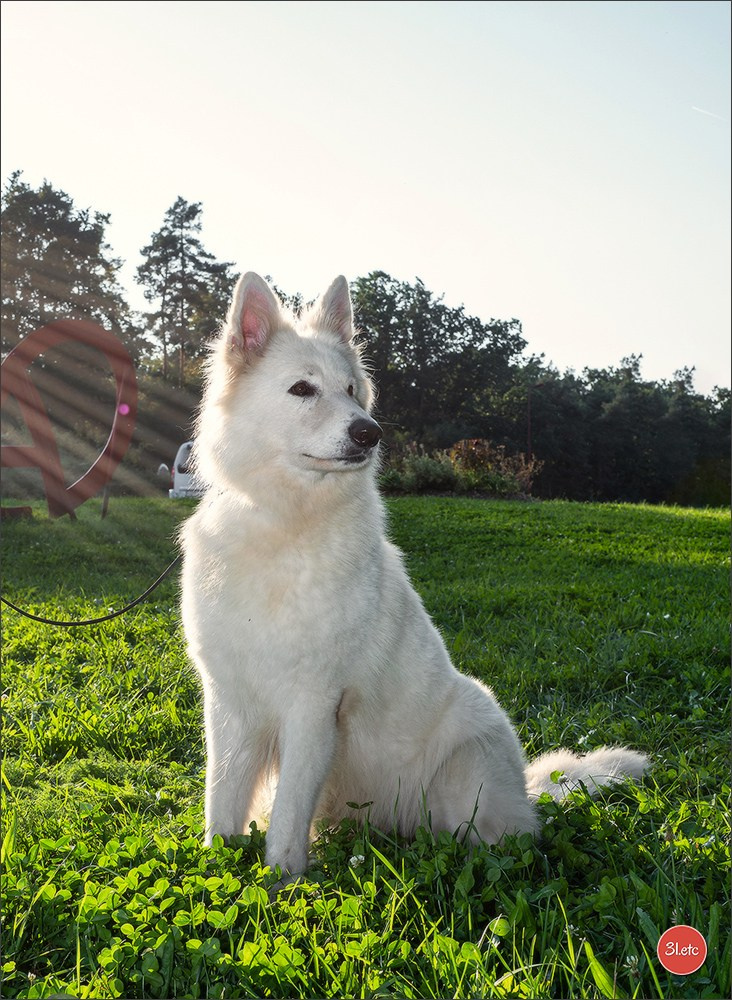 Domaine de la patte blanche. Photographe à Strasbourg | Portraits, Studio, Enfants, Événements
