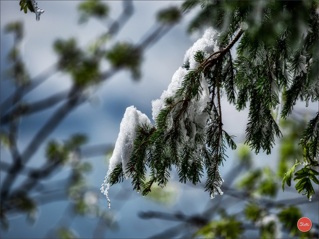 Temps étonnant fin avril en Alsace. Il a neigé. Photographe à Strasbourg | Portraits, Studio, Enfants, Événements
