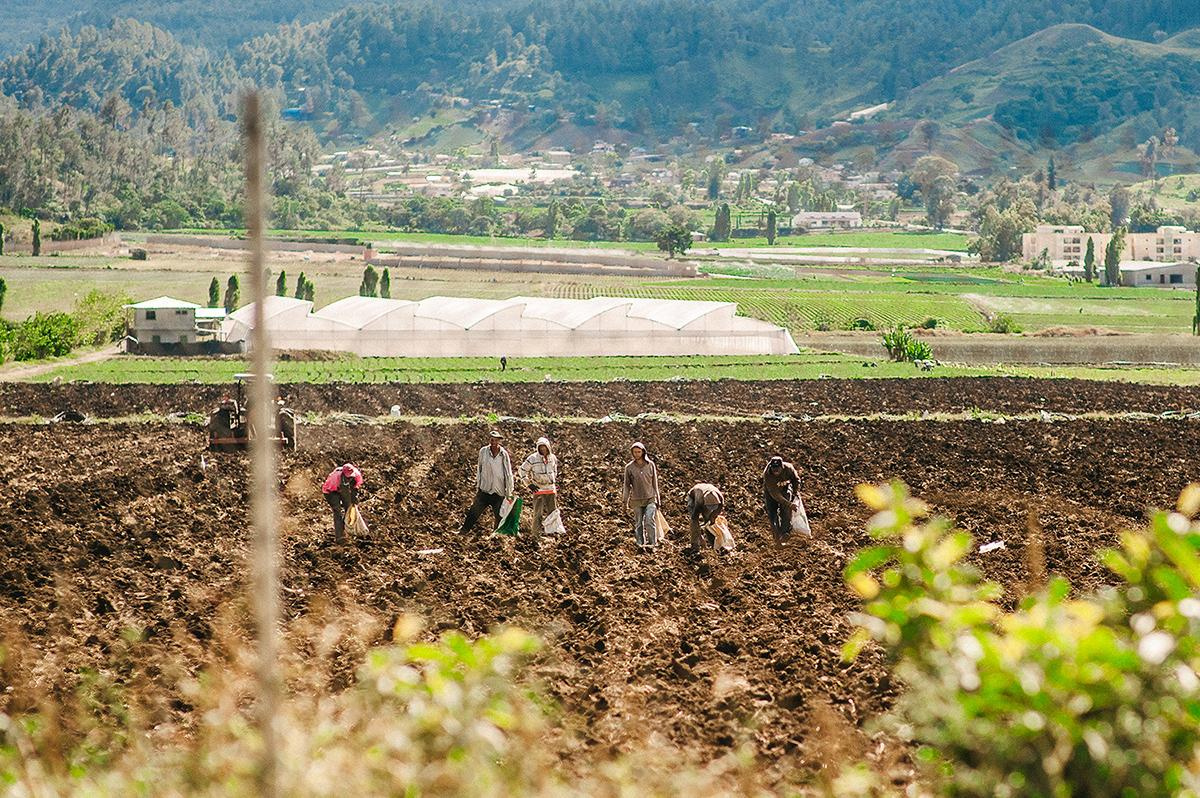 Dominican republic journalism, portrait. Punta cana wedding family fashion photographer dominican republic, destination wedding photographer, elopement photography Punta Cana