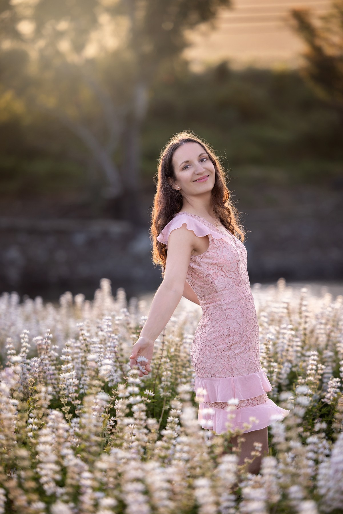 Lupines Story. Photographer is San Jose, Iryna Novosyolova