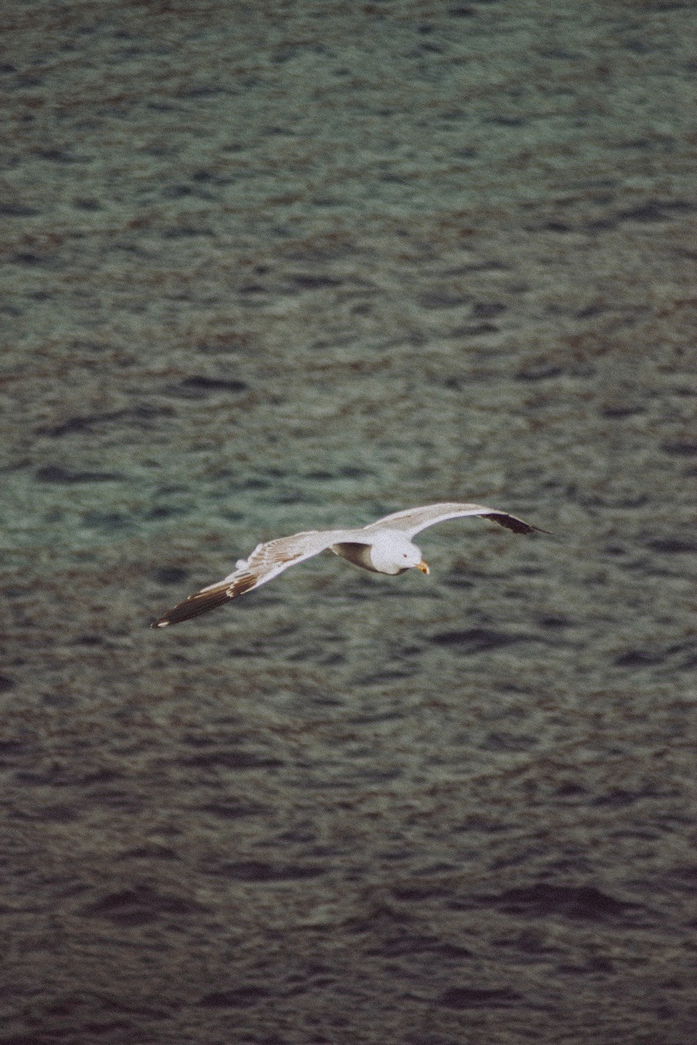 People. Photographe à la Seyne sur Mer, Var