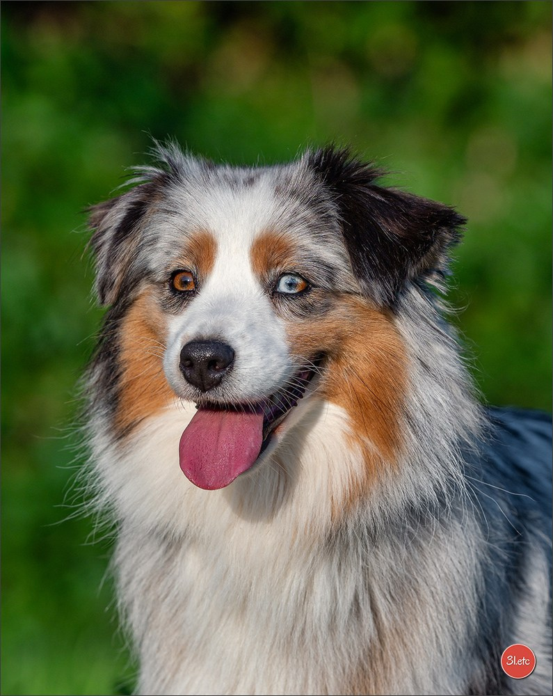 Domaine de la patte blanche. Photographe à Strasbourg | Portraits, Studio, Enfants, Événements