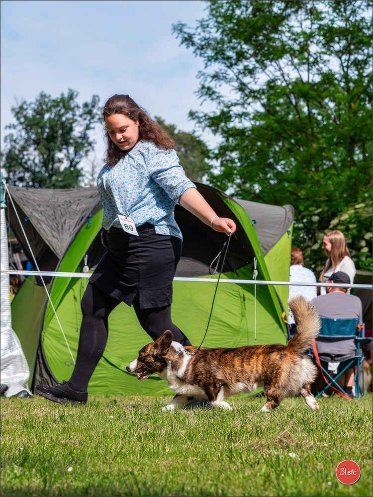 Украсть фото разве сложно.... Photographe à Strasbourg | Portraits, Studio, Enfants, Événements