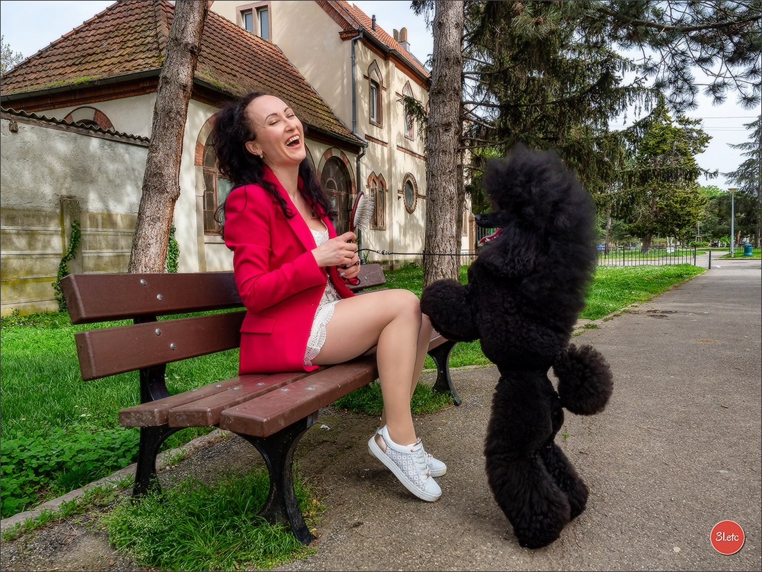 Expositions canines des 6 & 7 avril 2024 NDS Mulhouse, France. Photographe à Strasbourg | Portraits, Studio, Enfants, Événements