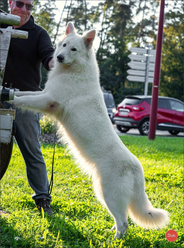 Domaine de la patte blanche. Photographe à Strasbourg | Portraits, Studio, Enfants, Événements