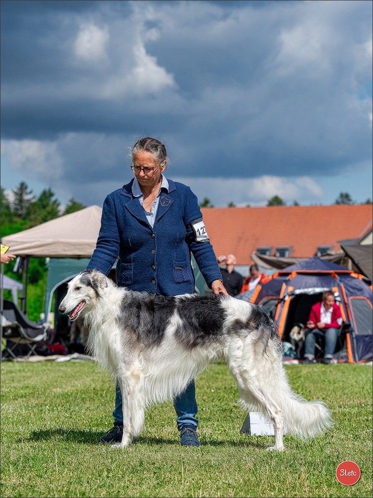 Dog Show Rieden 🇩🇪 16-18/05/2025. Photographe à Strasbourg | Portraits, Studio, Enfants, Événements