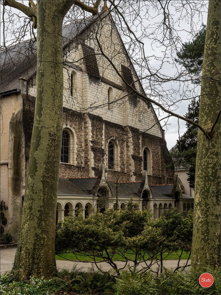Angers. Photographe à Strasbourg | Portraits, Studio, Enfants, Événements