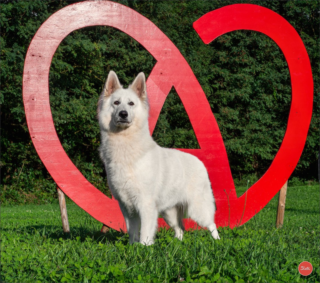 Domaine de la patte blanche. Photographe à Strasbourg | Portraits, Studio, Enfants, Événements