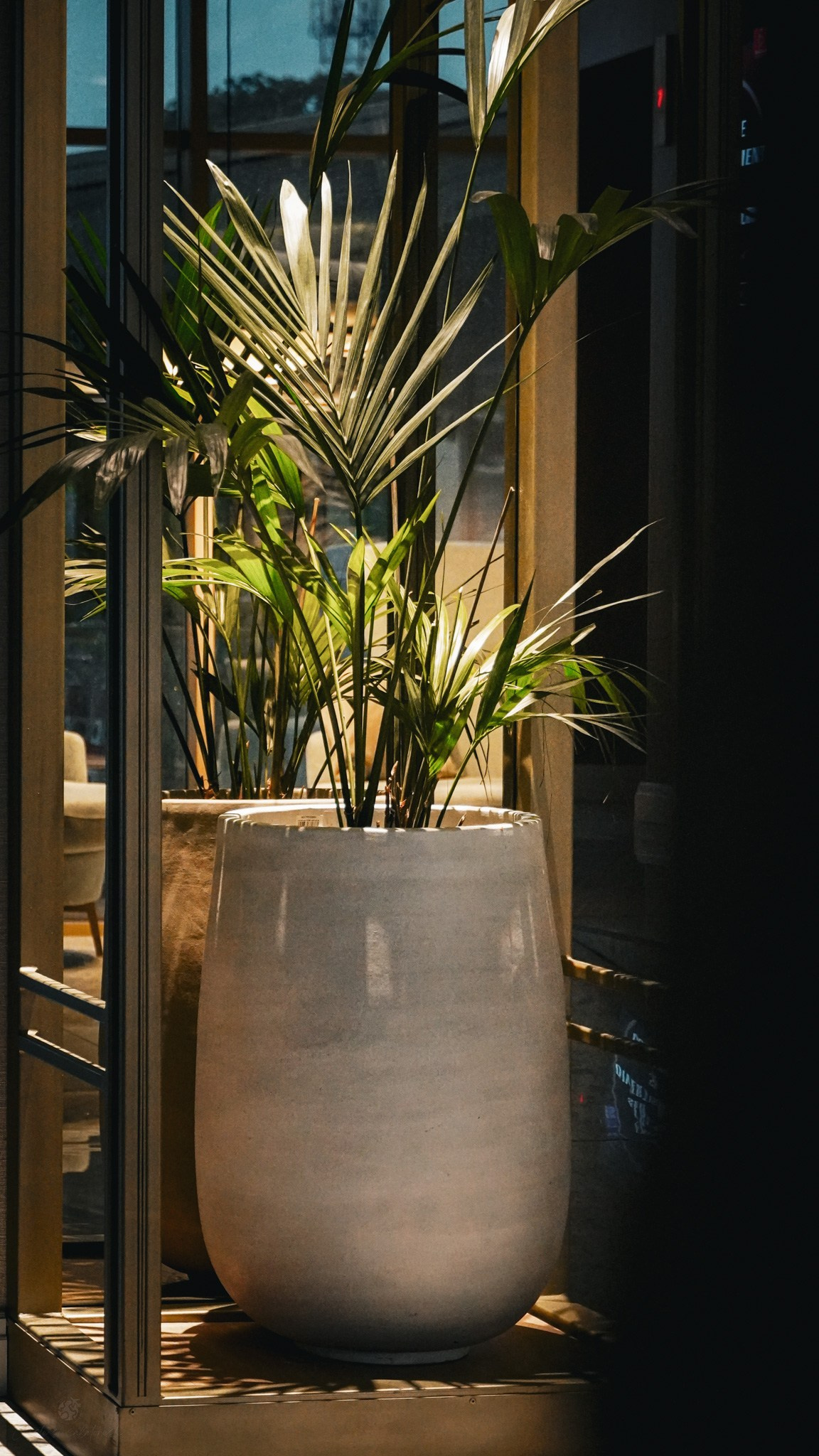 Bacolux Koralyo. Creste si calatoreste