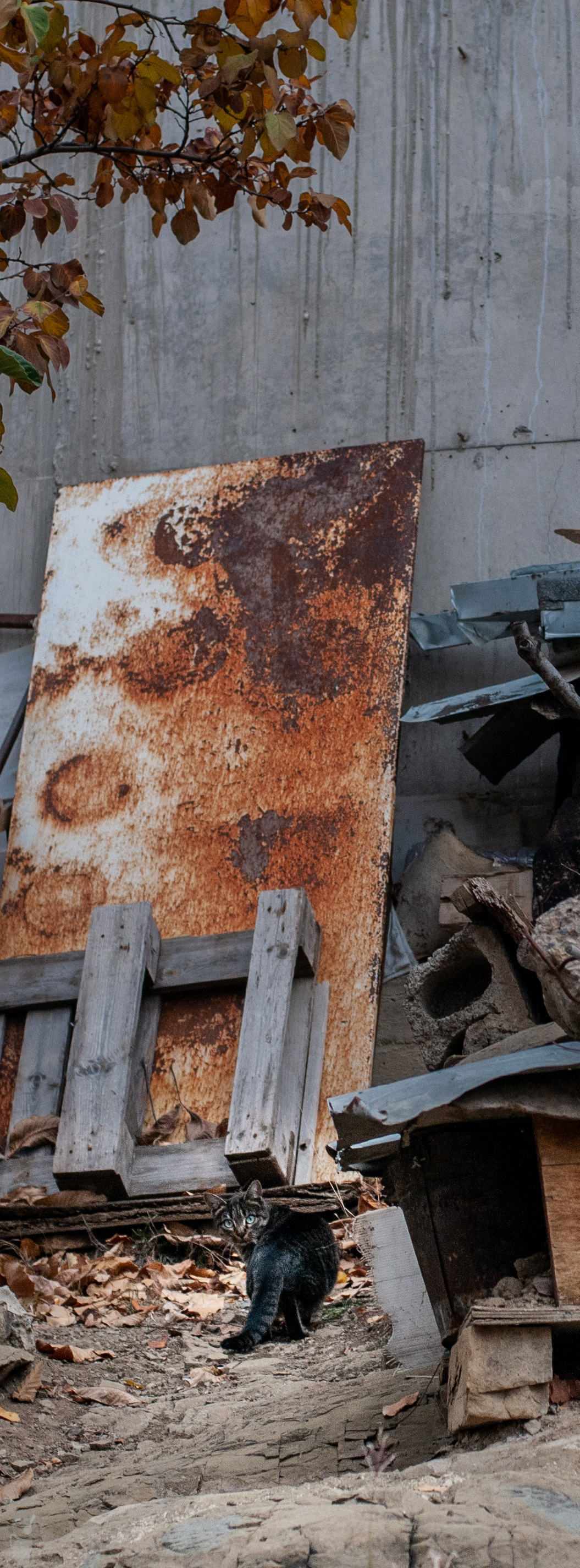 Tbilisi through the lens. VVoPoL