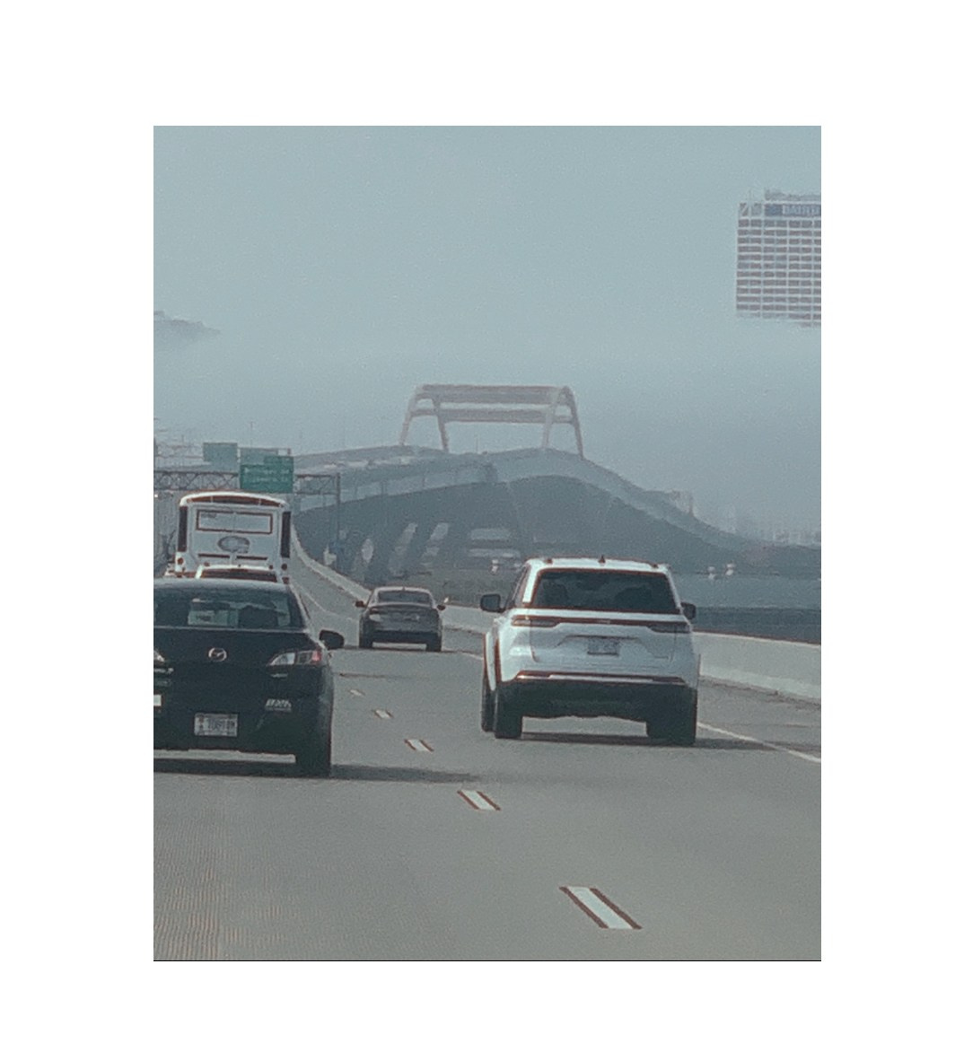 Lens Work From the Field 3