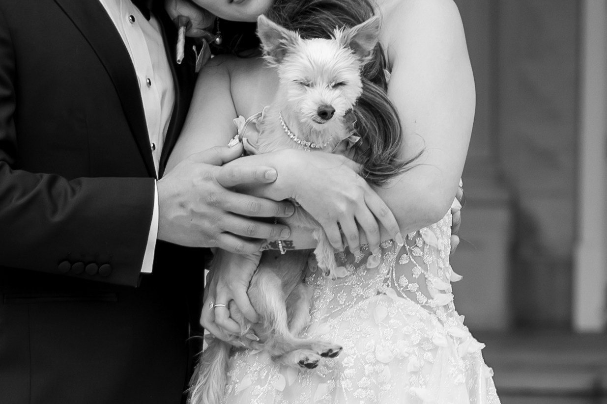 Anna & Gary at The Palace at Somerset Park, NJ. Wedding Photo & Video