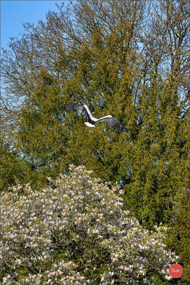 TEST ::: Sony Alpha 7 V (ILCE-7M5) 70-200mm f/2.8 GM II OSS. Photographe à Strasbourg | Portraits, Studio, Enfants, Événements